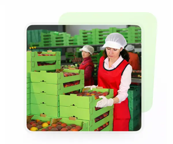 GreenCart Harvest organic grocery store fresh farm vegetables and fruits